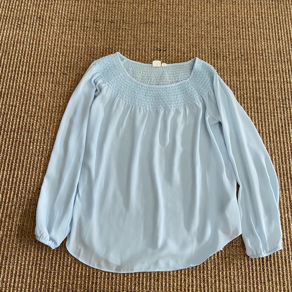 GAP Baby Blue Sheer Top
